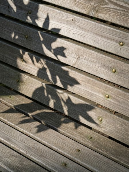 Close-up of weathered cedar seat slats and brass screws on a garden bench, with leaf shadows across the grain